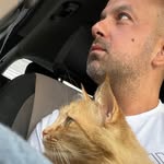 Alper Karmış(dokuzolmaz)'s profile avatar
