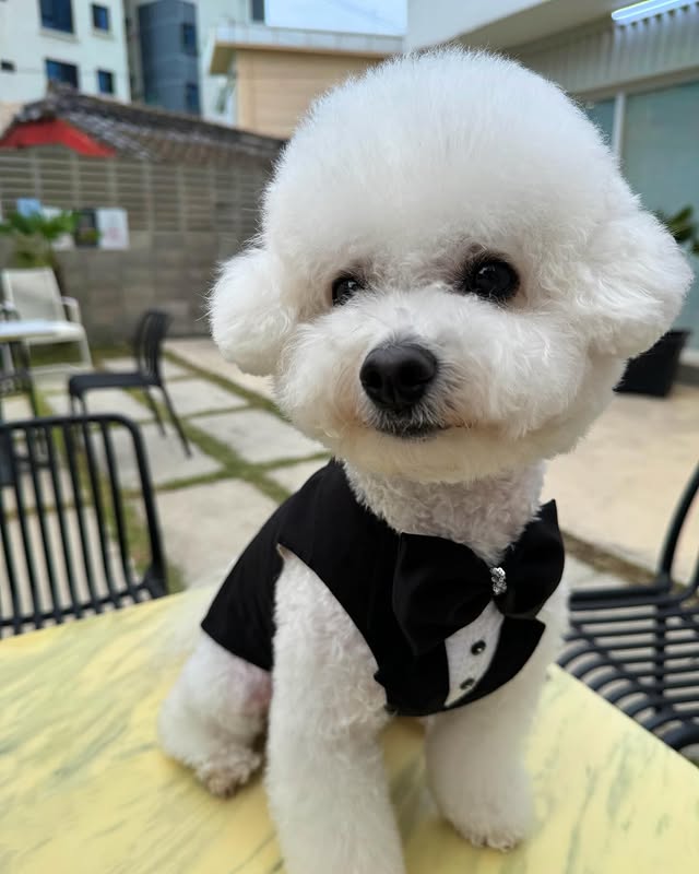 앙이 정장 멋있네 ♣️#김크앙