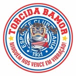 Torcida Organizada Bamor(torcidabamor)'s profile avatar