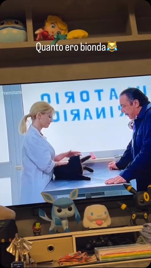 Video di parecchie tinture fa che ho voluto condividere.Fiction Rai Cugino e Cucino con la regia di Vittorio Sindoni. by @barbara.exignotis