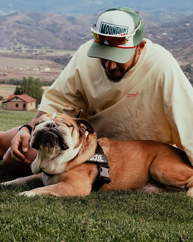 After four days on life support, fighting with every bit of strength he had, I had to make the hardest decision of my life and say goodbye to Roscoe. He never stopped fighting, right until the very end. I feel so grateful and honoured to have shared my life with such a beautiful soul, an angel and true friend. Bringing Roscoe into my life was the best decision I ever made, and I will forever cherish the memories we created together. Although I lost Coco, I have never been faced with putting a dog to sleep before, though I know my mum and many close friends have. It is one of the most painful experiences and I feel a deep connection to everyone who has gone through the loss of a beloved pet. Although it was so hard, having him was one of the most beautiful parts of life, to love so deeply and to be loved in return.Thank you all for the love and support you’ve shown Roscoe over the years. It has been so special to witness and feel.He died on Sunday evening, 28th September in my arms.