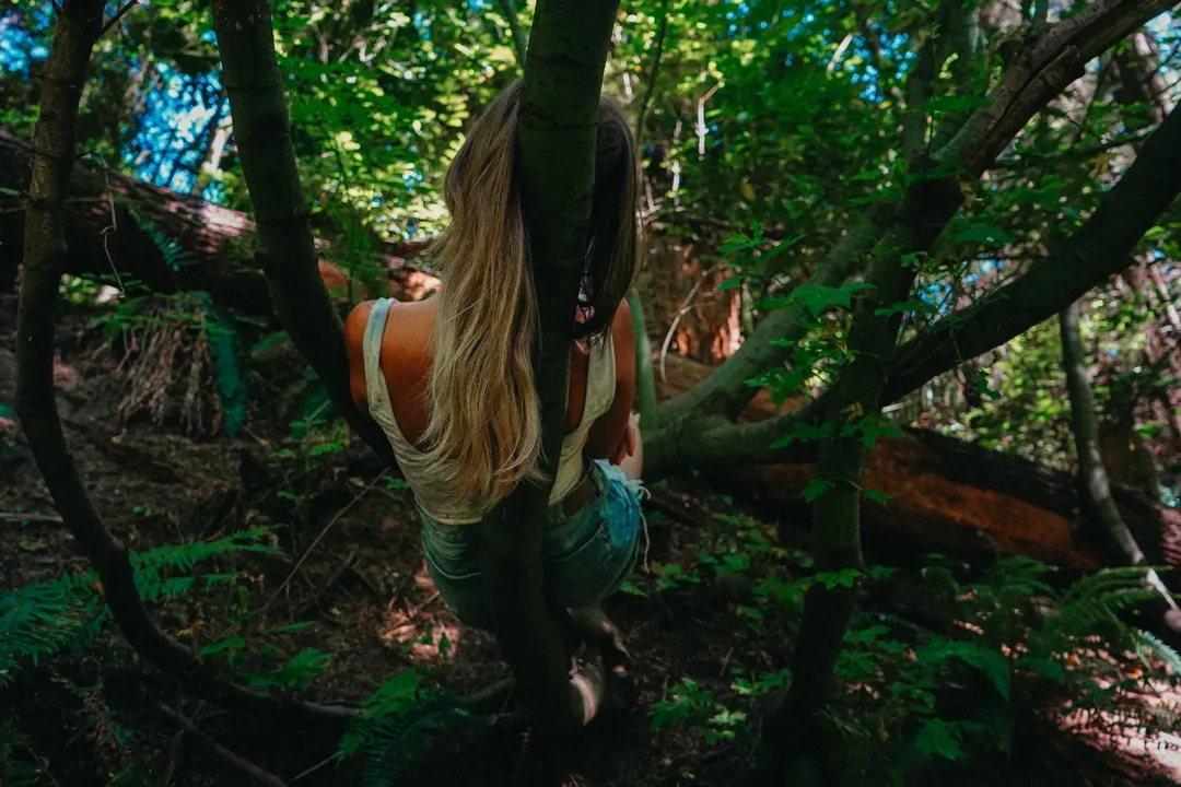 I hate the term forest bathing. We evolved in the forest and then in the plains, of course we feel better when we're in nature. We've created this weird separation between us and the natural world, and then created these weird chic terms like 'grounding' when in reality always been very much a part of it. We can't exist without it. Being outside and rediscovering your connection with wild places, or even a green space near your house, will improve your mental health, your physical health, and make your life feel so different. by @siobhan