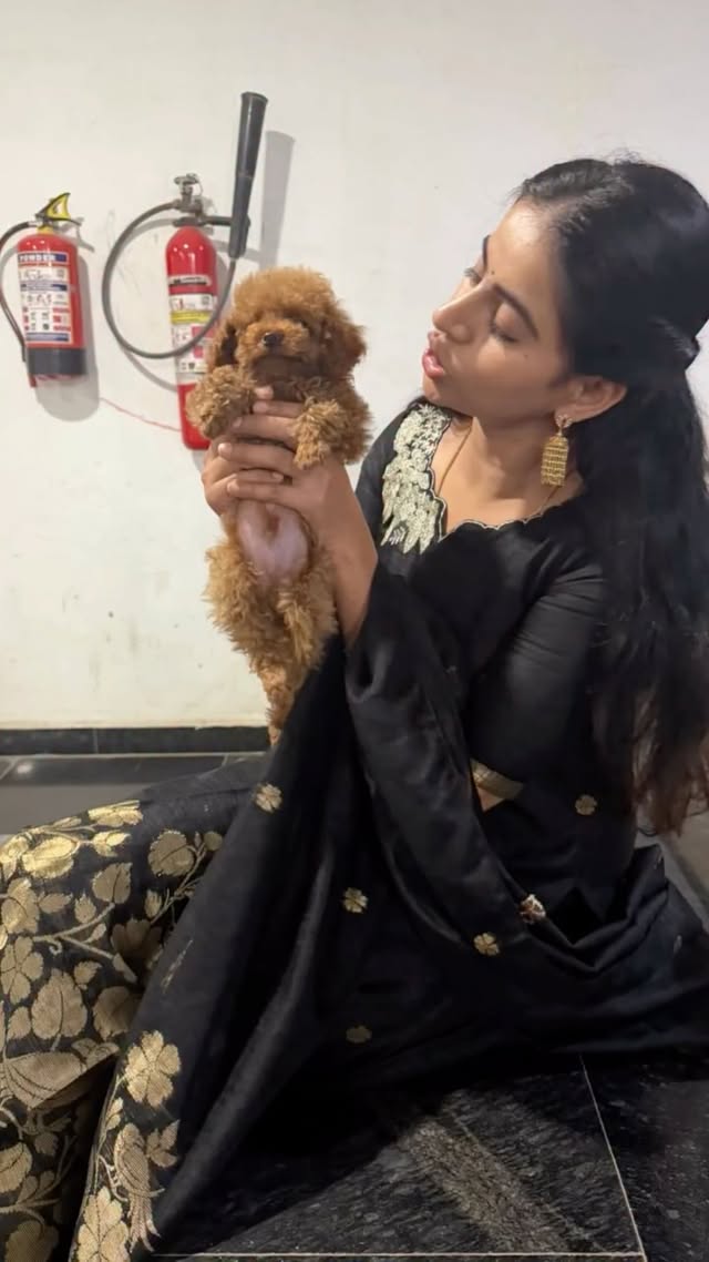 Na real character reveal ayithe…meeru nannu pet ga kaadu threat ga chudali😼😈#puppy #toypoodlelove #petstagram #doglover #naveenareddych by @actress_naveena_official