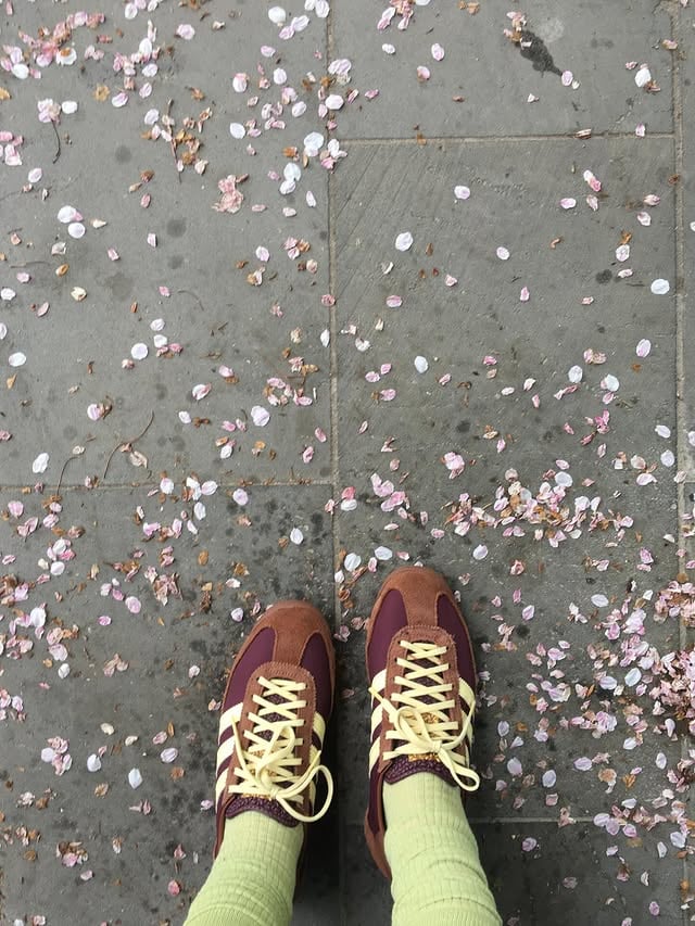 벚꽃이 지면🌸🍃 by @hye5nly
