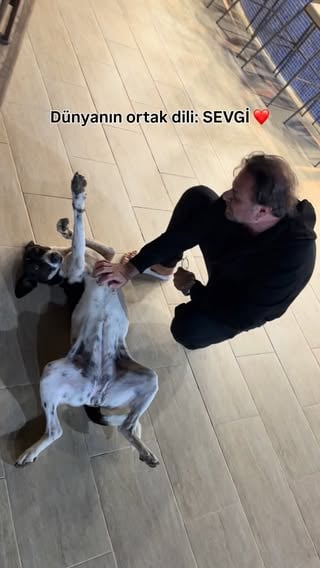 Bazen hiçbir şey söylemeden de anlaşabiliyoruz…Çünkü sevginin dili aynı. ❤️#sevgi #köpek #dostluk #iyilik #keşfet