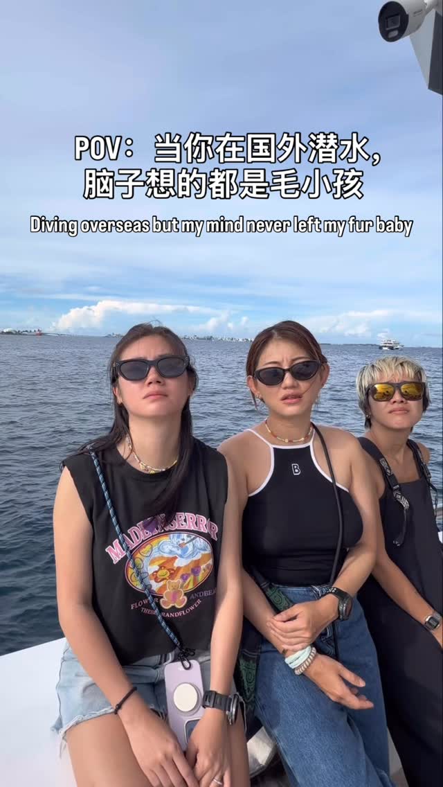 在一起LOB | 8天7夜，每天除了分享潜水视频，没有一天是skip讲想念自己的毛小孩🥹@misschailing - 🐶 @stelliesdemiaomiao @waynephoo - 🐶 @haru_haru_phoo Mei Mei 🐶 - @meiandhaebi_maltese 📍 @ariyalmaldiveslob | @chrischow33 #maldivesafari by @misschailing