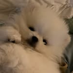 순 미(@____sunmi____)'s profile avatar