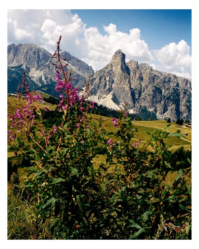 My mission to get everyone on a hiking holiday in the #dolomites continues. This week, @sarabsemic catches the bug for the big walk. And @angelopennetta takes the pictures (with help from @franburns @briol.it @amanrosaalpina and @forestis.dolomites) 💚💚💚💚💚💚 by @jellison22