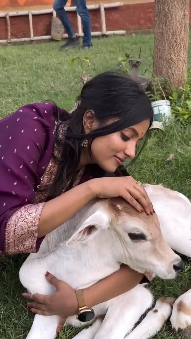 ❤️ #kanha #gaumata #krishna #radheradhe #gauseva ❤️ by @ulkagupta