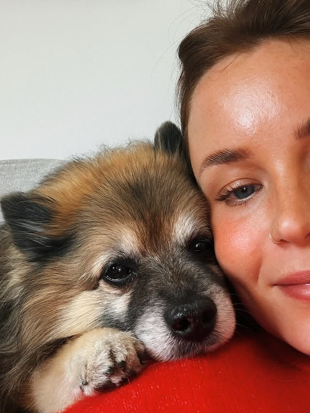 Me ollaan just nyt tässä näin. Aina yhtä hellyyttävä ajatus, että koira on miettiny pienessä päässään haluavansa lähelle ja sitten tulee kylkeen (tai poskeen) kiinni näin 😭 Hän oli viime viikon pitkästä aikaa hoidossa. Tuntuu aina niin kutkuttavalta, että sillon voin tehdä IHAN MITÄ TAHANSA kenenkään muun tarpeista riippumatta ja kuitenkin joka ikinen kerta päädyn tekemään tismalleen samoja juttuja kuin koirankin kanssa – koti on vaan tyhjempi ja kävelyllä tuntuu kuin ois unohtanut jotain matkasta. Kai sitä on vuosien myötä niin tottunut toisen läsnäoloon, että vaikka vaihtelu välillä virkistääkin, niin lopulta kaikkein parasta on tää ihan tavallinen elo yhdessä 🫶🏻 by @annikaollila