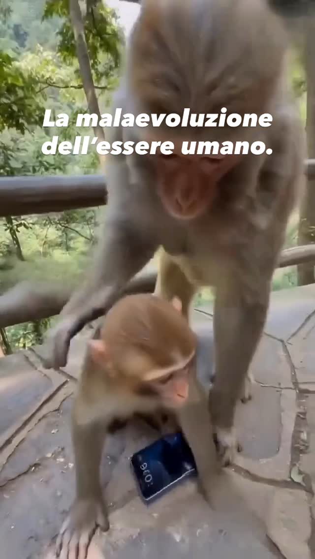 Le cosiddette mamme umane dovrebbero insegnare ai propri figli il valore del rispetto verso tutti e tutto. by @barbara.exignotis