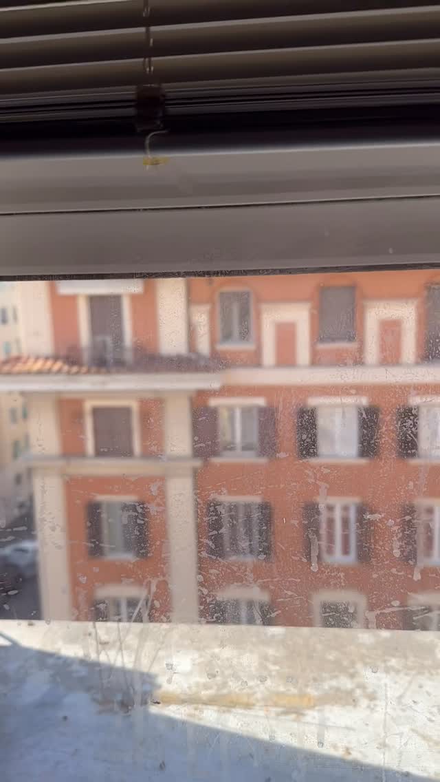 Non commentate quanto è sporco il vetro 🙏è stato Jonathan 😹😹 by @barbara.exignotis