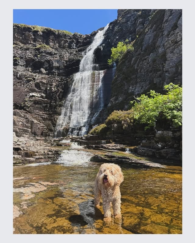 🐾 @wildland.scot Alvin 🖤🏴󠁧󠁢󠁳󠁣󠁴󠁿 by @jellison22