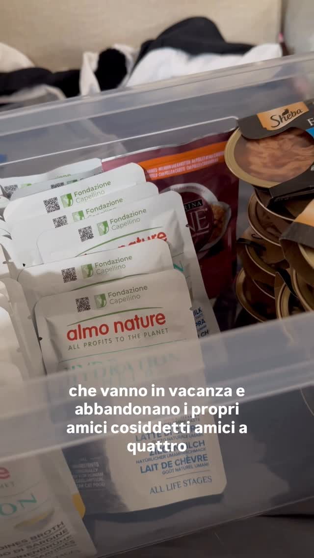 Cercate sempre di viaggiare equipaggiati di aiuti per gli animali che trovate abbandonati.#abbandonocani #estate2026 #ebola . by @barbara.exignotis