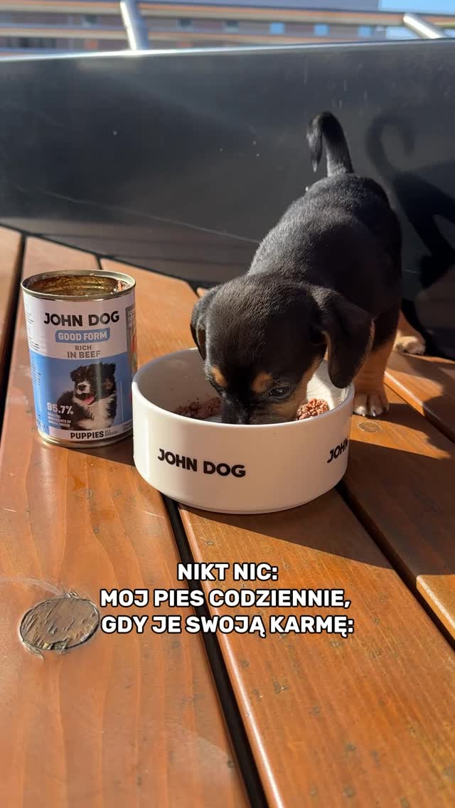 Włącz dźwięk aby wysłuchać niesamowitej rekomendacji karmy Good Form 😲#karmadlapsa #johndog #psiarze #mokrakarma #pieskieżycie by @johndog_pl