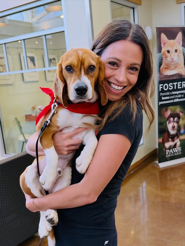 📸: Still smiling about yesterday 🐶🥰🐾 Adoption #gotchaday .#jerrysjourney #beagle #beaglerescue by @cherylscottwx