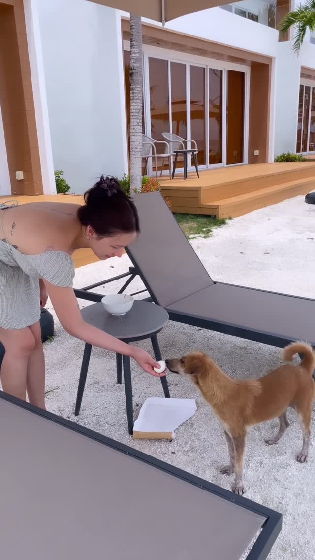 my baby browny from bohol🐕🐾🦴🥺 by @hi_christineco