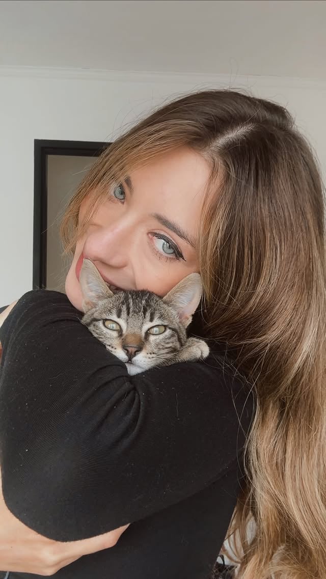 tampoco lo puedo retar si se termina durmiendo encima mio 😂 es muy tierno#babycat #tabbycat by @flordangelo
