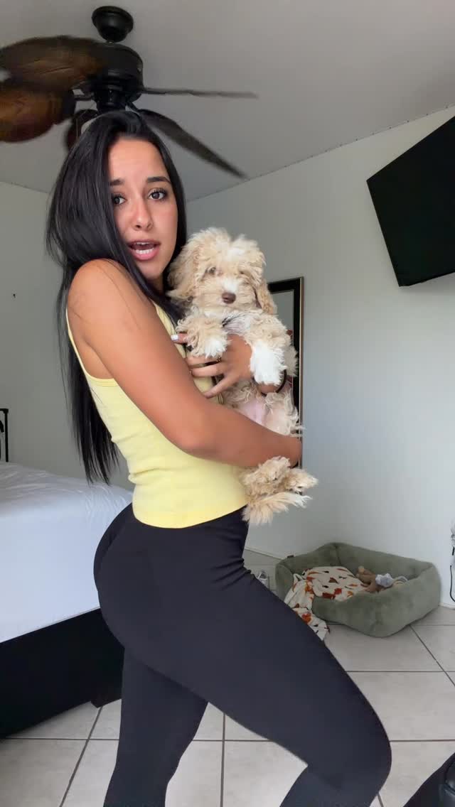 Meet max 🐶 by @ashleypalominoxox