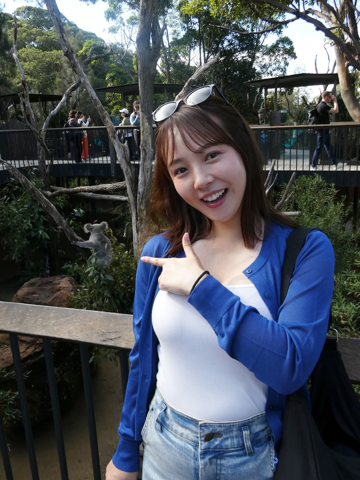 シドニー🐨🐨🐨
コアラって何でこんなにかわいいんだろう…

シドニーの街が湾越しに見えて綺麗だった🐨