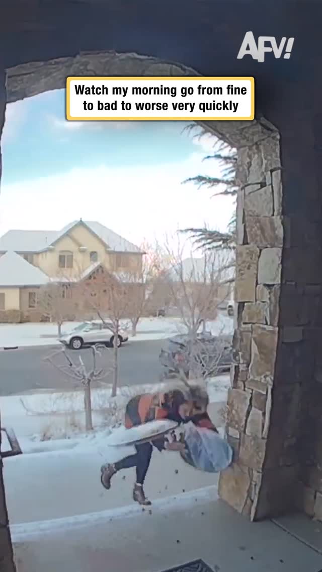 Can't believe the dogs walked right past the food like that 😅 #afv #fail #funnyvideos