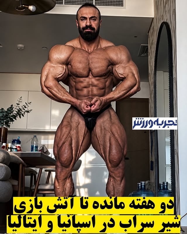 آخرین آپدیت از شیر سراب کمتر از دو هفته دیگر بهروز تابانی در اروپا حاضر خواهد شد و رقابت جذاب اسپانیا پرو و ایتالیا رقابت خواهد کرد به آپدیت فوق العاده پشر المپایی ایران توجه کنید 🔥 by @tajrobevarzesh