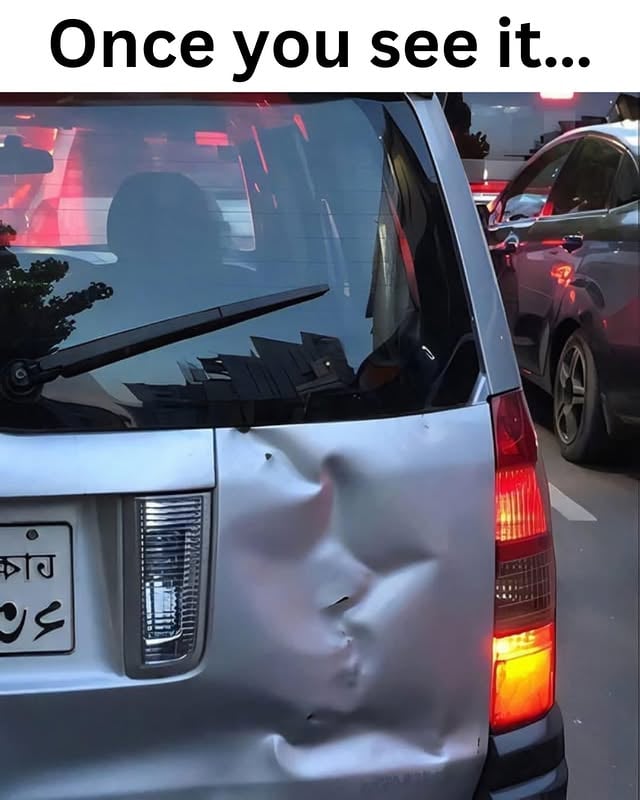 Do you see it? Pareidolia is the tendency to see familiar images or patterns in random objects.✨Follow for more✨ I am famous biologist. ⚠️ #science #art vapeymoron on reddit by @biologistmichael