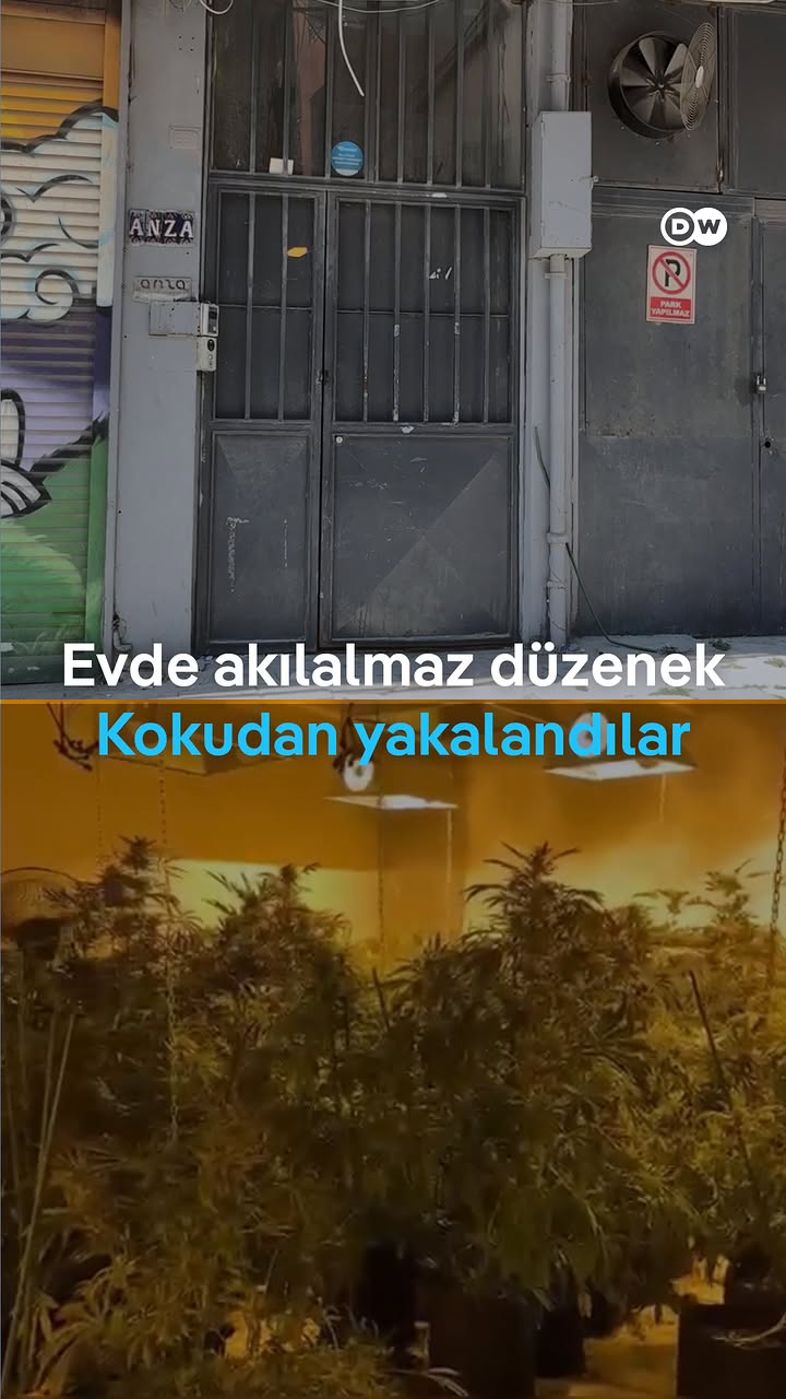 İstanbul’da bir evde akılalmaz düzenek ortaya çıktı! Gerçek olaylar, acayip suç dosyaları ve suç hikayeleri, böyle polis baskınlarıyla ortaya çıkıyor. Gündem, haberler, son dakika haberleri, suç haberleri, polis operasyonu, narkotik operasyon gibi arama başlıkları arasında İstanbul Kağıthane'de yaşanan olay günün haberleri arasında öne çıktı. Evin salonunun seraya çevrilerek yasaklı madde yetiştirildiği tespit edildi. Olayı ele veren ise daireden gelen koku oldu. Kağıthane’de yaşanan olay için videomuza göz atın. Türkiye gündeminde son duruma dair videolar kanalımızda.
#istanbul #operasyon #gündem #dwtürkçe2026