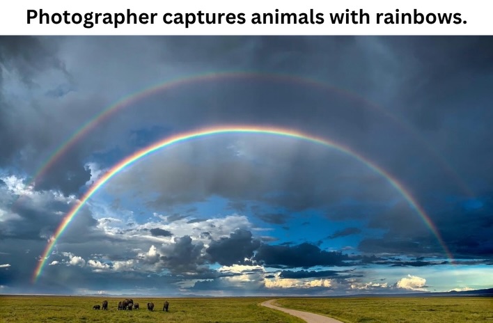 Wildlife photographer @varun.aditya captures animals, landscapes, and nature scenes from locations around the world, including India and Africa. Here he captured a double rainbow and a rainbow appearing above an elephant and giraffe. ✨Follow for more✨ I am famous biologist. ⚠️ #science #animals by @biologistmichael