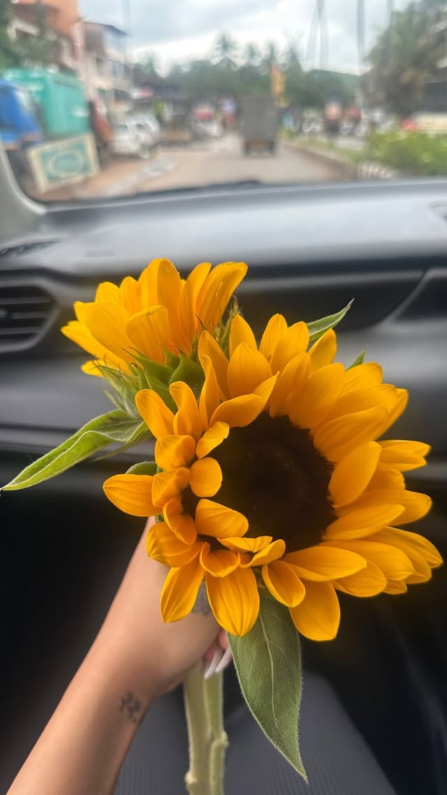 despite having a job that entails being in front the camera, public perception still scares me sometimes. but boy if I tell my brain “no one cares just DO IT” life suddenly becomes so much fun. ♥️[ confidence, self confidence, overcoming fear, fear of judgement, main character energy, life lessons, social anxiety, content creator, authenticity, be cringe, relatable, how to be confident, public perception ] by @leavesakshialone