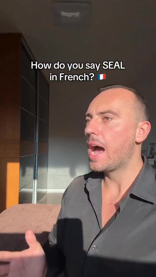 If we haven’t met, I’m Peter Coles, I’m a Polyglot who speaks 25 languages and I run Peter Coles Languages, a language school for the top 1% to learn languages quickly and efficiently 🌍Speaking 25 languages I’ve talked to 100’s of teachers, good & bad, and I’m offering you access to the same ones I use, so you don’t have to go through the same troubles 📚That way you know for sure that✅ they’re qualified✅ experienced✅ and seriously vettedby yours truly and you save yourself a lot time ⏰DM me the name of the language you want to learn for more info, you must be willing to invest into yourself, as a language is a skill like any other ✍️If you’re serious about learning a language then check out @thelanguageg for serious content#polyglot #languages #french #france #francais by @petercoleslanguages