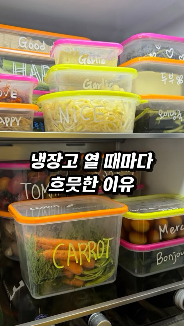 냉장고도 예뻐야 정리할 맛 나더라고요🤍

✔️저장 공유하시고 함께 해요
✔️6/9 화 밤12시 자정 오픈

장을 보고 오면
저는 냉장고랑 냉동실부터 정리해요 :)

대파 썰어둔 거,
마늘 다진 거,
고기 소분한 거,
과일이나 반찬까지.

봉지째 넣어두면 찾기도 어렵고
어느새 냉장고가 복잡해지더라고요.

그래서 작년부터 1년 넘게
꾸준히 쓰고 있는 사나리빙 항균용기

처음엔 컬러가 예뻐서 사용하기 시작했는데
지금은 편해서 계속 쓰고 있어요.

사방이 투명해서
위에서 봐도, 옆에서 봐도
내용물이 한눈에 보이고,

냉장·냉동은 물론
전자레인지와 식기세척기까지 가능해서
활용도가 정말 좋아요.

무엇보다 실리콘 패킹이 없는 구조라
세척이 간편한 것도 큰 장점🤍

패킹 분리해서 씻고,
말리고,
다시 끼우는 과정이 없으니
손이 훨씬 자주 가더라고요.

게다가 유해 미생물 99.9% 증식 억제
항균 기능까지✨

냉장고 문 열었을 때
차곡차곡 정리된 모습 보면
괜히 살림 잘하는 사람 된 기분😊

정리는 결국
잘 보이는 게 최고더라고요.

🤍 댓글 ‘사나리빙’ 남겨주시면
구매 최최저가 링크 보내드릴게요 :)
같이 사용한 펜 정보도 함께 보내드릴게요

📅 오픈
6월 9일 화요일 자정오픈!
(오전10시전  당일발송)

그리고 이번에는
10만원 이상 / 20만원 이상 구매 고객분들을 위해
제 사비로 준비한 작은 선물도 있어요🎁

사나리빙 기다리셨던 분들은
이번 기회에 예쁘게 담아가세요♥️