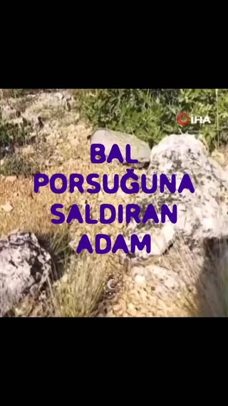 HABER

🔵 Malatya’da mantar toplarken dünyanın en korkusuz hayvanı olarak bilinen bal porsuğunun saldırısına uğrayan bir vatandaş, hayvanı tek darbeyle etkisiz hale getirdi:

"Porsuk bana saldırdı. Ben de beni korumak için elimdeki değnekle vurdum."

YORUMUM

Video çekmek için hayvanın doğasında dibine kadar girmiş, ondan sonra kafasına vurup "bana saldırdı, kendini korudum" diyor.

Dünkü görüntüleri ise hiç yayınlayamadım. Adana'da su kanalından karaya çıkan yılanı bıçaklayıp ezip öldürdüler.

@milliparklar