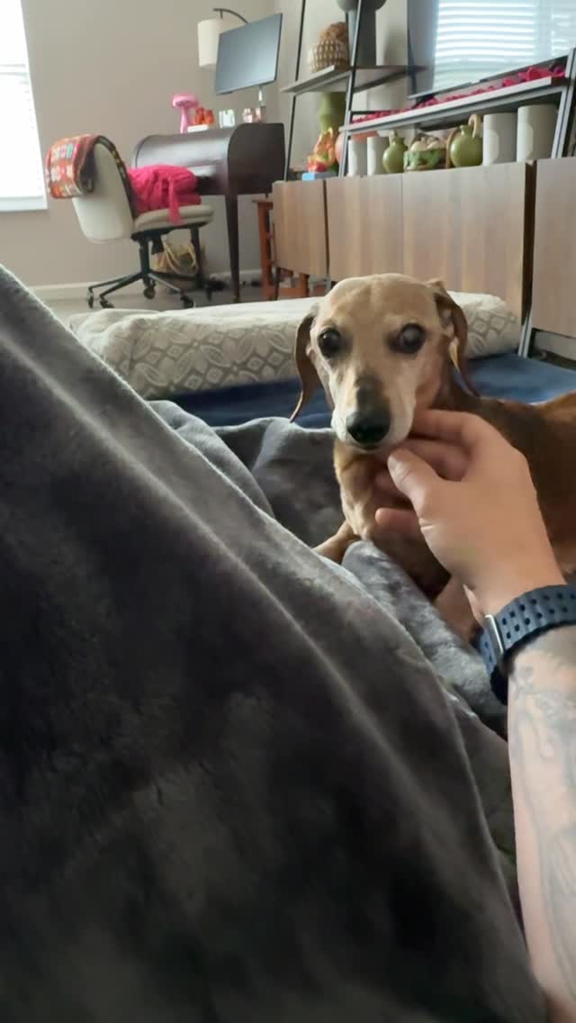 Herman is taking care of me